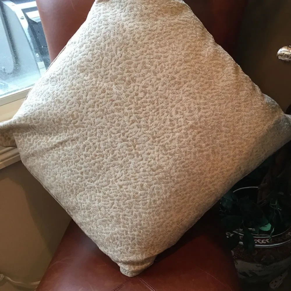 TAUPE SOFA Wildcat Print Pillow!